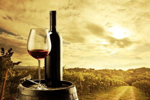 McLaren Vale Luxury Wine Tour - Accommodation Fremantle 0
