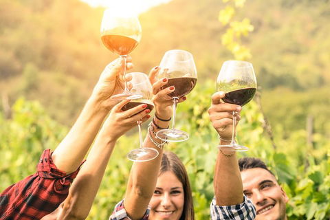 McLaren Vale Luxury Wine Tour - Accommodation Fremantle 2