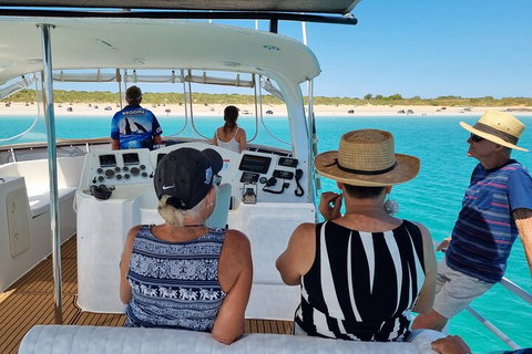 Snubfin Dolphin Eco Cruise From Broome - Accommodation Fremantle 5