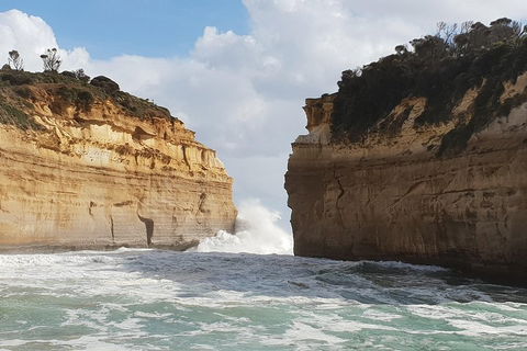 12 Apostles Tour From Warrnambool - Accommodation Fremantle 2
