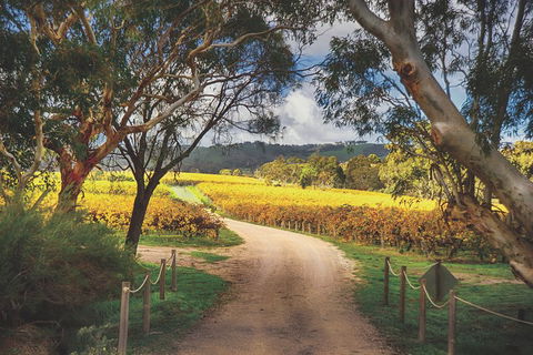 McLaren Vale Winery Small Group Tour With Wine Tasting And Lunch - Accommodation Fremantle 1
