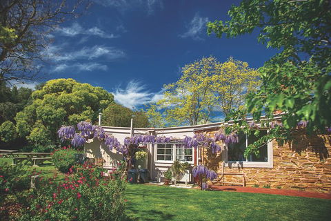 McLaren Vale Winery Small Group Tour With Wine Tasting And Lunch - Accommodation Fremantle 2