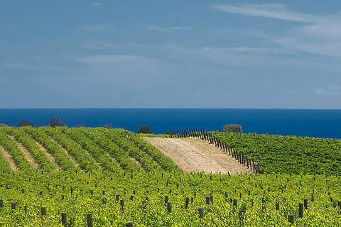 McLaren Vale Winery Small Group Tour With Wine Tasting And Lunch - Accommodation Fremantle 4