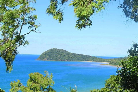 Full Day Tour In The Daintree - Accommodation Fremantle 1