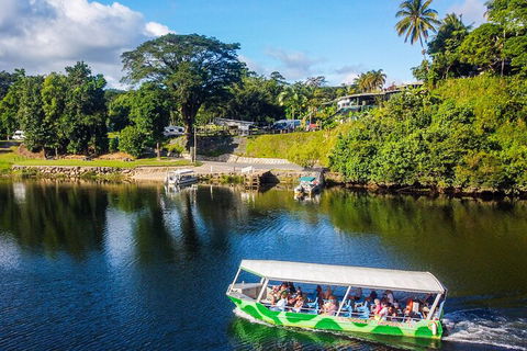Full Day Tour In The Daintree - Accommodation Fremantle 2