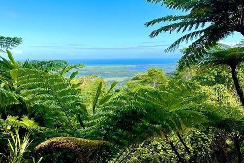 Full Day Tour In The Daintree - Accommodation Fremantle 5