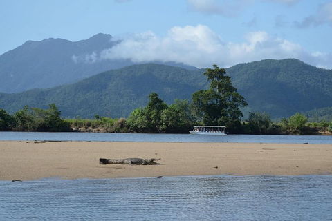 Afternoon Half-Day Daintree Rainforest And River Tour - Accommodation Fremantle 2