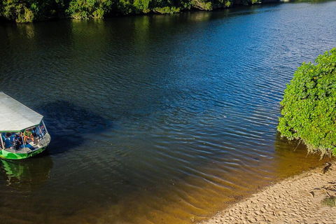 Afternoon Half-Day Daintree Rainforest And River Tour - Accommodation Fremantle 3
