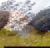 3-Day Cradle Mountain Photography Workshop - Accommodation Fremantle