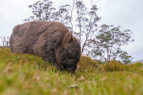 3-Day Cradle Mountain Photography Workshop - Accommodation Fremantle 0
