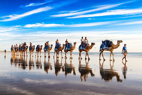 Broome Pre-sunset Camel Tour 30 Minutes - Accommodation Fremantle 2
