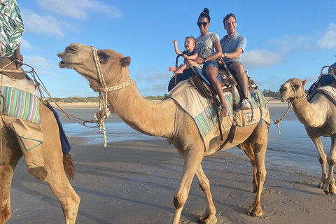 Broome Pre-sunset Camel Tour 30 Minutes - Accommodation Fremantle 3