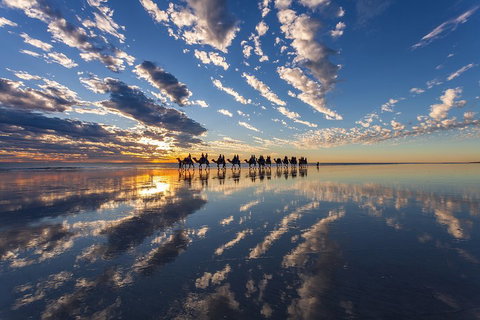 Broome Pre-sunset Camel Tour 30 Minutes - Accommodation Fremantle 4