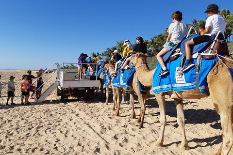 Broome Pre-sunset Camel Tour 30 Minutes - Accommodation Fremantle 5