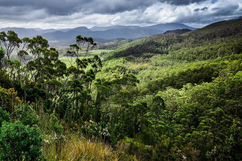 3-Day Tour To The Falls, Mountains, Lake & More Of West Coast Tasmania - Accommodation Fremantle 0