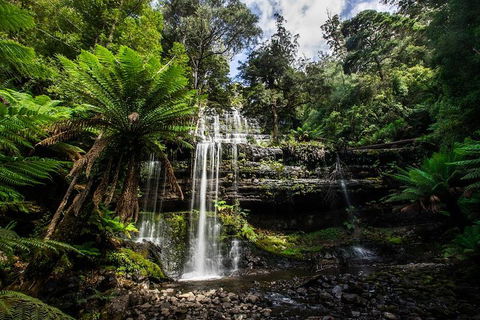 3-Day Tour To The Falls, Mountains, Lake & More Of West Coast Tasmania - Accommodation Fremantle 4