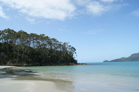 Bruny Island Day Trip From Hobart - Accommodation Fremantle 1