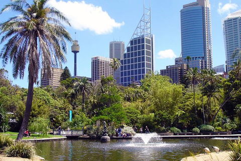 Private Sydney Half Day Tour Including Sydney Opera House And Bondi Beach - Accommodation Fremantle 4