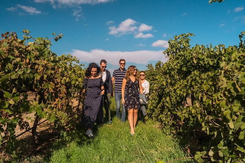 Barossa Valley Private Tour (from 2 To 11 People) - Accommodation Fremantle 0