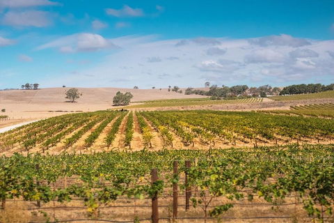 Barossa Valley Private Tour (from 2 To 11 People) - Accommodation Fremantle 2