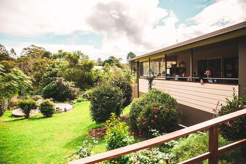 Full-day Springbrook National Park Tour From The Gold Coast - Accommodation Fremantle 2
