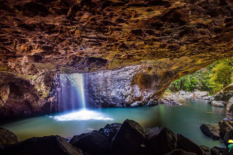 Full-day Springbrook National Park Tour From The Gold Coast - Accommodation Fremantle 3