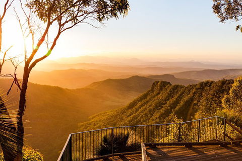 O'Reilly's & Lamington National Park Incl. Alpaca Farm + Vineyard - Accommodation Fremantle 0