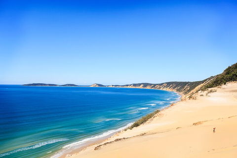 Kayak With Dolphins And 4WD Great Beach Drive Day Trip From Noosa - Accommodation Fremantle 0