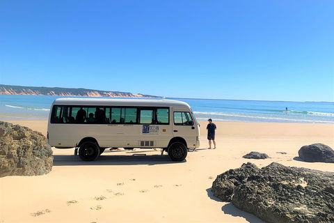 Kayak With Dolphins And 4WD Great Beach Drive Day Trip From Noosa - Accommodation Fremantle 4