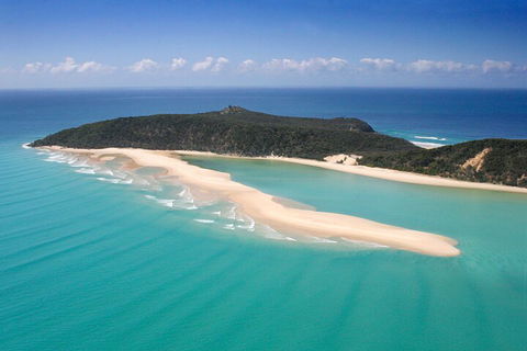 Kayak With Dolphins And 4WD Great Beach Drive Day Trip From Noosa - Accommodation Fremantle 5