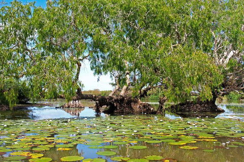 Ethical Adventures - Best In The WET - Litchfield / Kakadu 3 Day- Max 10 Guests - Accommodation Fremantle 1