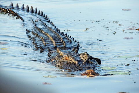 Ethical Adventures - Best In The WET - Litchfield / Kakadu 3 Day- Max 10 Guests - Accommodation Fremantle 4