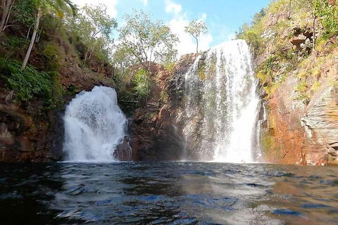 Ethical Adventures - Best In The WET - Litchfield / Kakadu 3 Day- Max 10 Guests - Accommodation Fremantle 5
