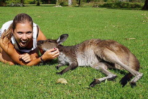 7-Day Tour In Sydney With Airport Pickup - Accommodation Fremantle 4