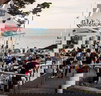 Phillip Island and French Island Wildlife Expedition - Accommodation Fremantle