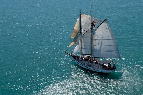 Whitehaven Beach Sailing And Snorkeling Cruise - Accommodation Fremantle 1