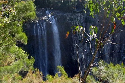 Byron Bay Hinterland Tour Including Rainforest Walk To Minyon Falls - Accommodation Fremantle 0