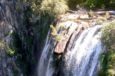 Byron Bay Combo: Hinterland Tour Including Minyon Falls And Kayaking With Dolphins - Accommodation Fremantle 3