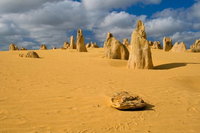 The Pinnacles Sea and Dunescapes Bush Reserve and Sunset Day Tour, Perth