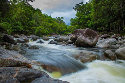 Cape Tribulation Day Tour - Accommodation Fremantle 0