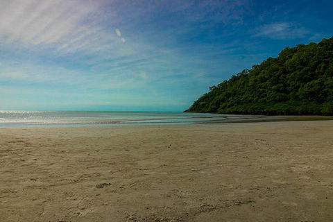Cape Tribulation Day Tour - Accommodation Fremantle 2