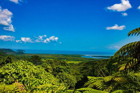 Cape Tribulation Day Tour - Accommodation Fremantle 3