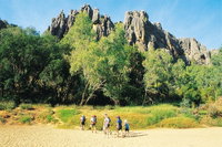 Gorgeous Gorges Tour - Windjana  Bell Gorge Mt Hart Cape Leveque, Broome