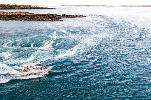 Giant Tides Tour - Cygnet Bay Pearl Farm - Accommodation Fremantle 4