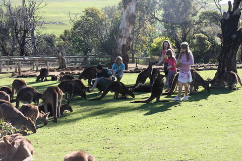 The Port Arthur MEGA Day Trip From Hobart - Accommodation Fremantle 5