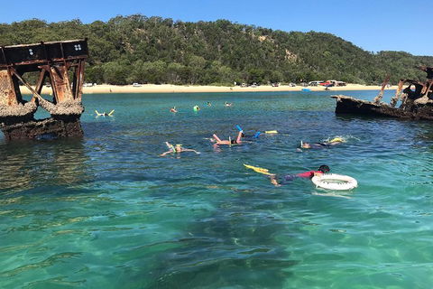 All Inclusive Dolphin And Tangalooma Wrecks Cruise - Accommodation Fremantle 0