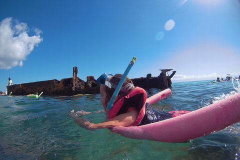 All Inclusive Dolphin And Tangalooma Wrecks Cruise - Accommodation Fremantle 2