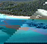 All Inclusive Tangalooma Wrecks Cruise Tour From Gold Coast - Accommodation Fremantle