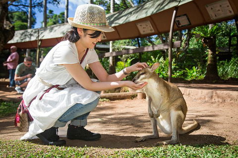 Kuranda Day Tour, TKS-RFS GRAND GOLD PLUS 0930 - Accommodation Fremantle 3