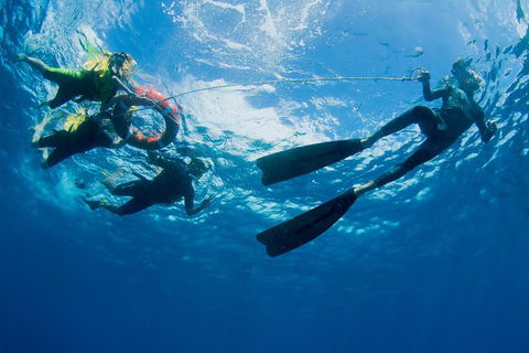 Passions Of Paradise Great Barrier Reef Snorkel And Dive Cruise From Cairns By Luxury Catamaran - Accommodation Fremantle 2